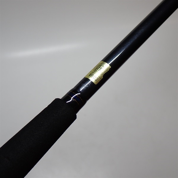 ２１テンヤタチウオＸ７３－１８０